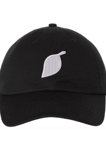 This Years Model Embroidered Logo Hat